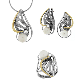 Silver and Gold Set