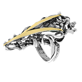 Silver and Gold Ring