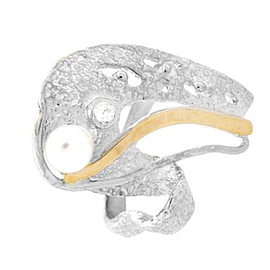 Silver and Gold Ring