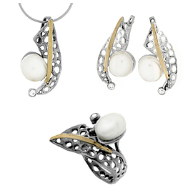 Silver and Gold Set