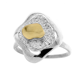 Silver and Gold Ring