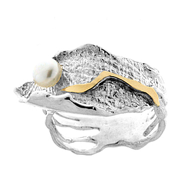 Silver and Gold Ring