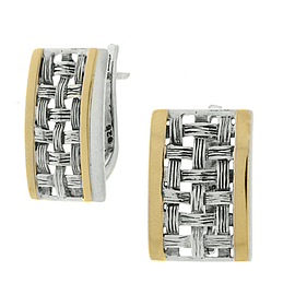 Silver and Gold Earrings
