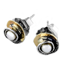 Silver and Gold Earrings