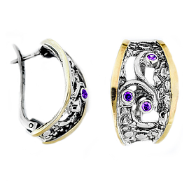 Silver and Gold Earrings