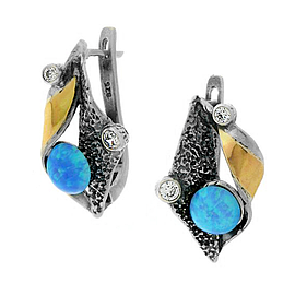 Silver and Gold Earrings