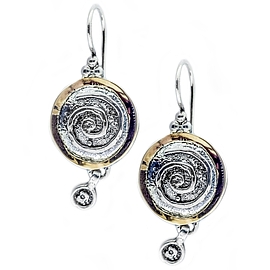 Silver and Gold Earrings