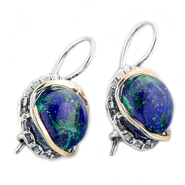 Silver and Gold Earrings