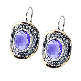 Silver and Gold Earrings