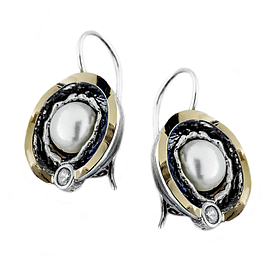 Silver and Gold Earrings