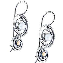Silver and Gold Earrings