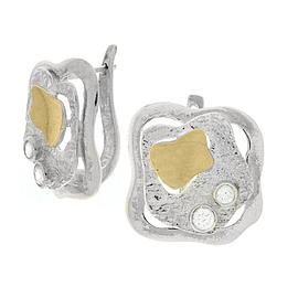 Silver and Gold Earrings