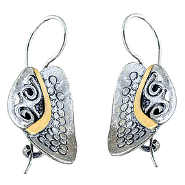 Silver and Gold Earrings