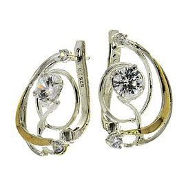 Silver and Gold Earrings