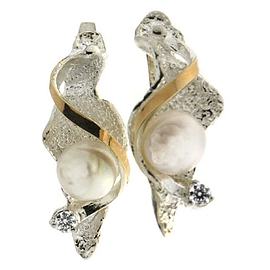 Silver and Gold Earrings