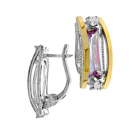 Silver and Gold Earrings