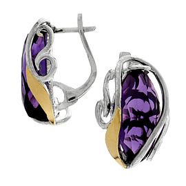 Silver and Gold Earrings