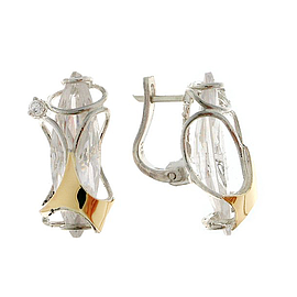 Silver and Gold Earrings
