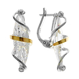 Silver and Gold Earrings