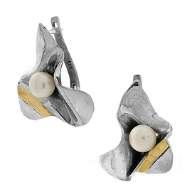 Silver and Gold Earrings