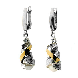 Silver and Gold Earrings