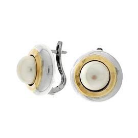 Silver and Gold Earrings