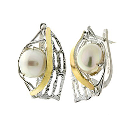 Silver and Gold Earrings
