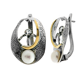 Silver and Gold Earrings