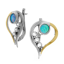Silver and Gold Earrings