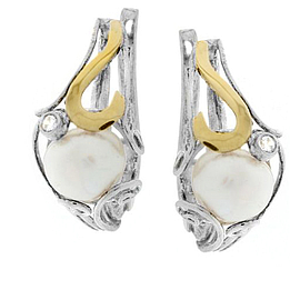 Silver and Gold Earrings