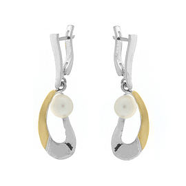 Silver and Gold Earrings
