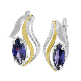 Silver and Gold Earrings