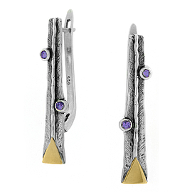 Silver and Gold Earrings