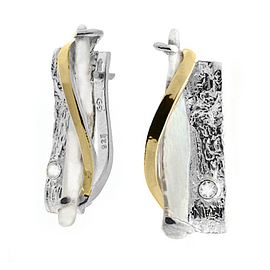 Silver and Gold Earrings