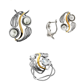 Silver and Gold Set