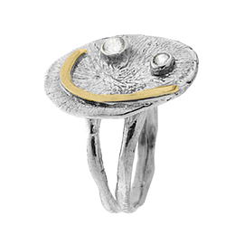 Silver and Gold Ring