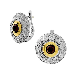 Silver and Gold Earrings