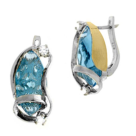 Silver and Gold Earrings