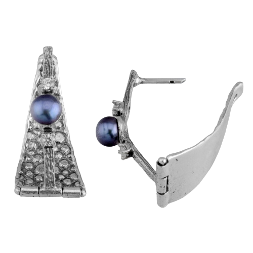 Silver Earrings