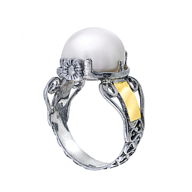 Silver and Gold Ring