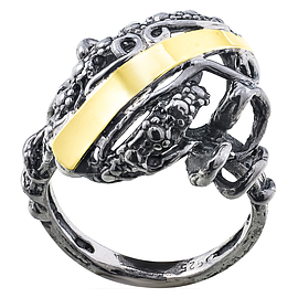 Silver and Gold Ring