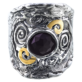 Silver and Gold ring