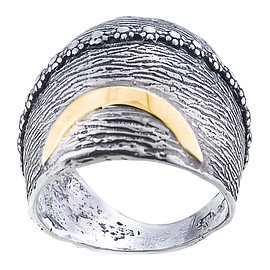 Silver and Gold Ring