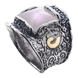 Silver and Gold Ring