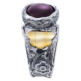 Silver and Gold Ring