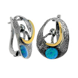 Silver and Gold Earrings