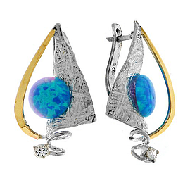 Silver and Gold Earrings