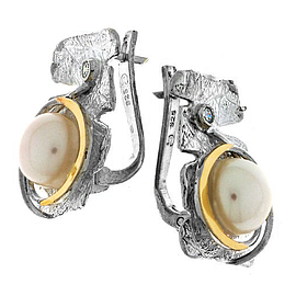 Silver and Gold Earrings