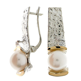 Silver and Gold Earrings