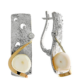 Silver and Gold Earrings